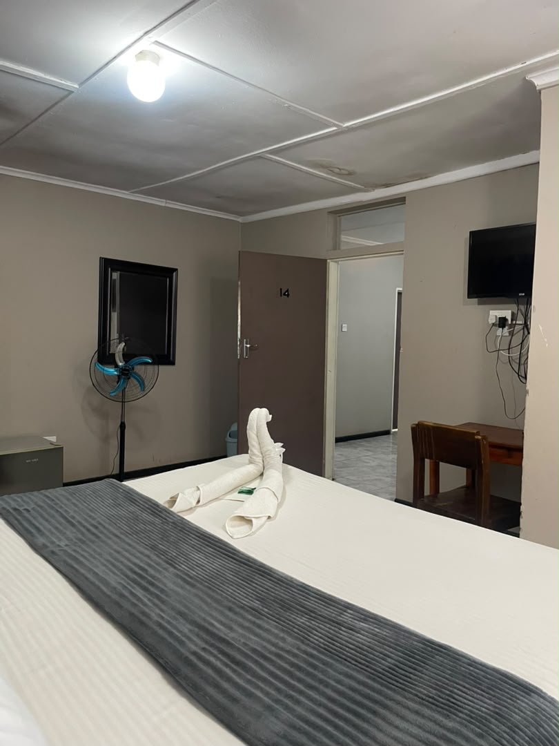 Room 14 with a large bed, wall-mounted TV, standing fan and wooden desk